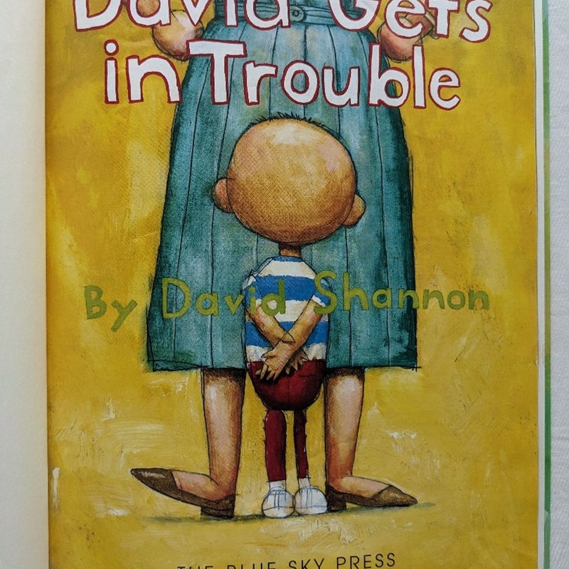 David Gets In Trouble Book Bundle 