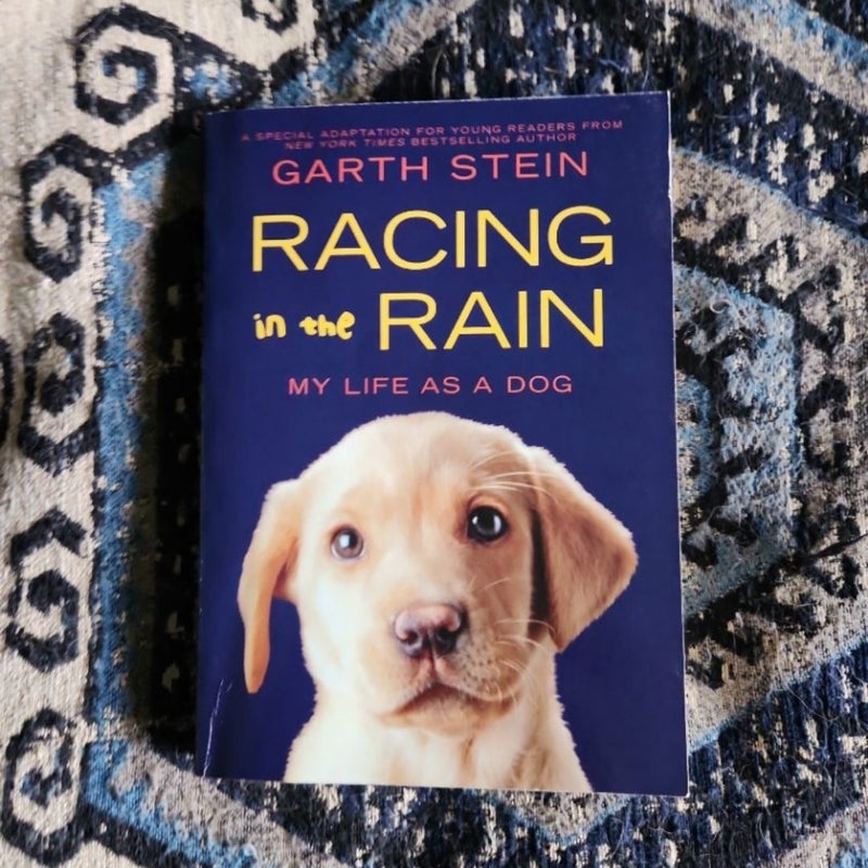Racing in the Rain
