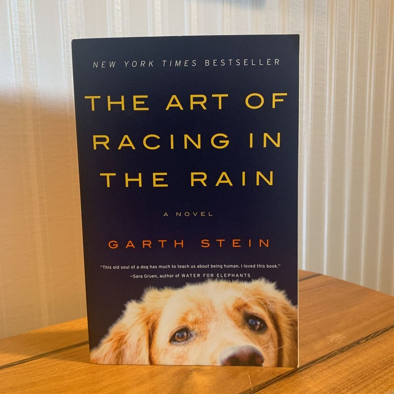 The Art of Racing in the Rain