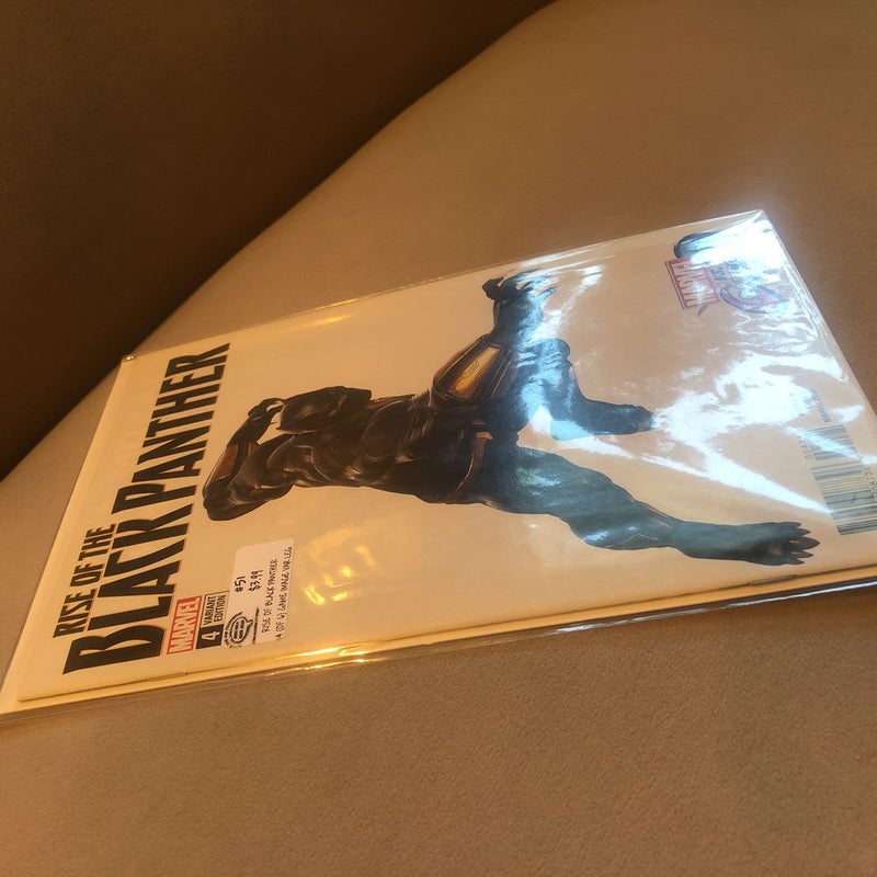 Rise of the Black Panther 