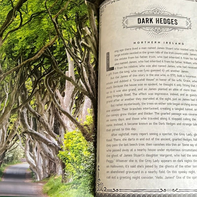 Dark Hedges, Wizard Island, and Other Magical Places That Really Exist
