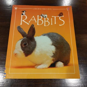 Rabbits - internet Linked