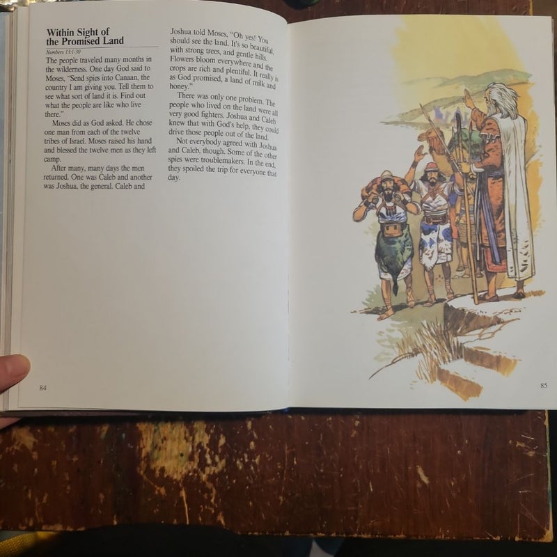 The Children's Bible Story Book