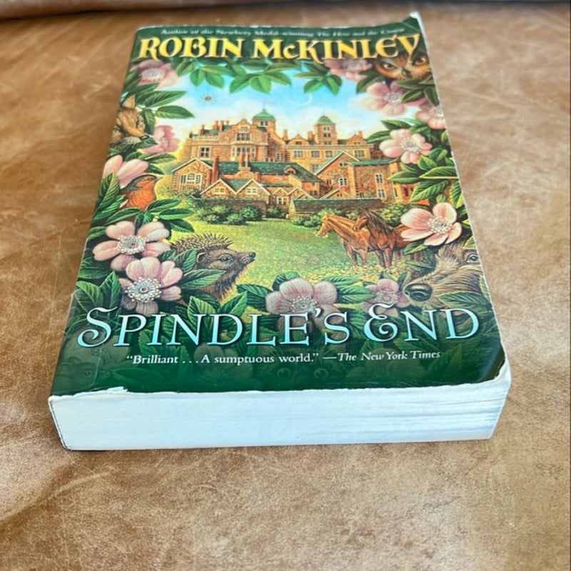 Spindle's End