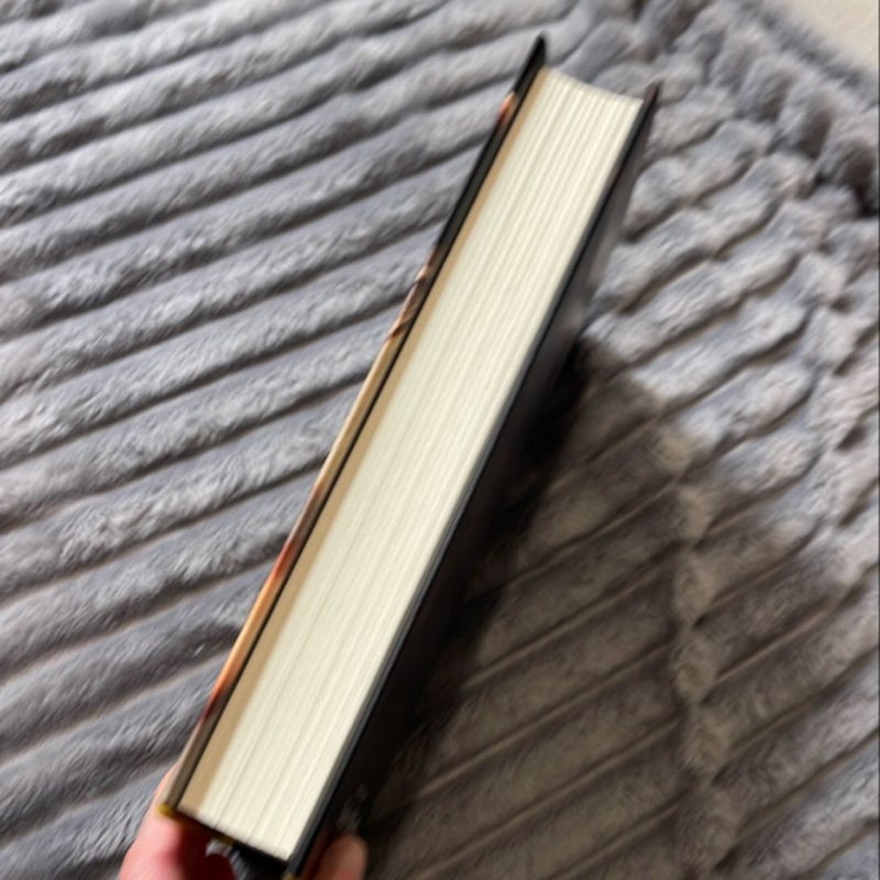 The Favorites BOTM