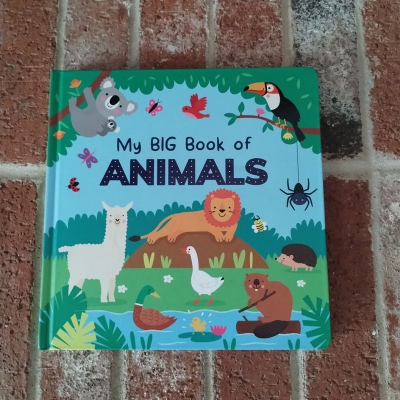 My Big Book of Animals by Page Publications