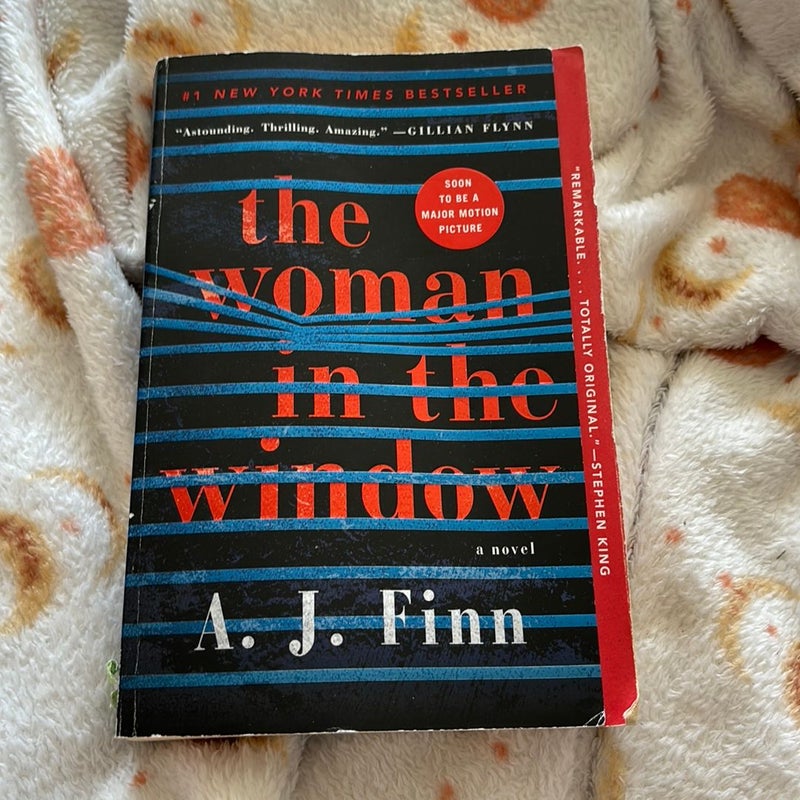 The Woman in the Window
