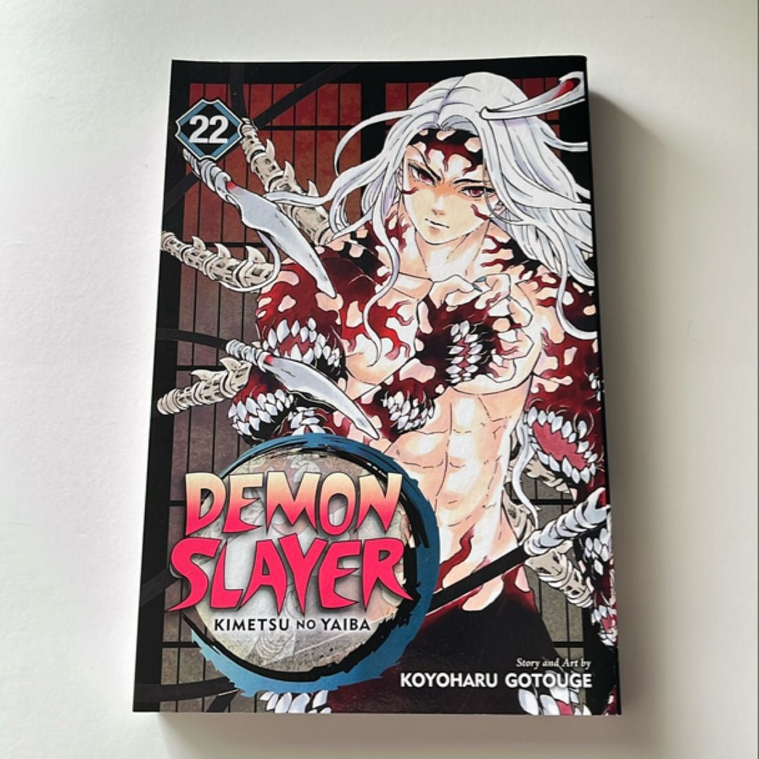 Demon Slayer: Kimetsu No Yaiba, Vol. 22