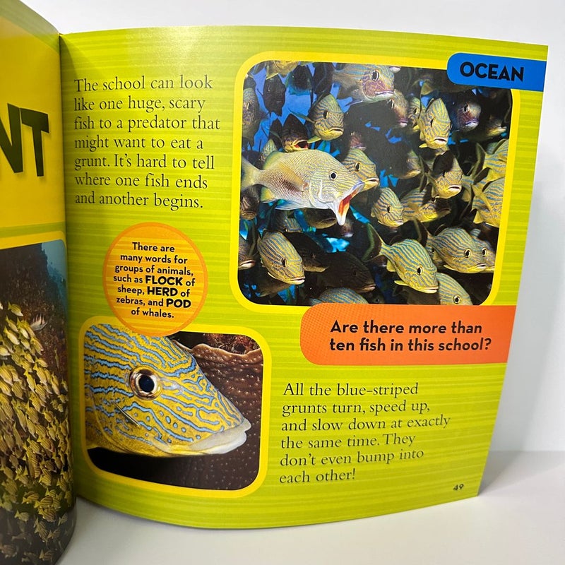 National Geographic Kids, Little Kids First Big Book of Animals