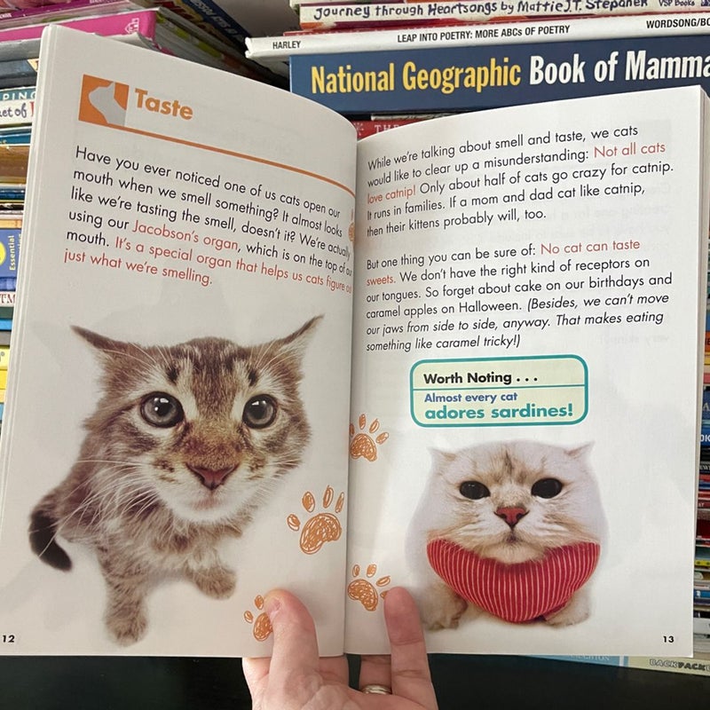 The Dog/The Cat Flip Book