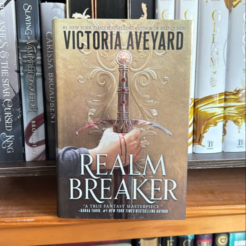 Realm Breaker