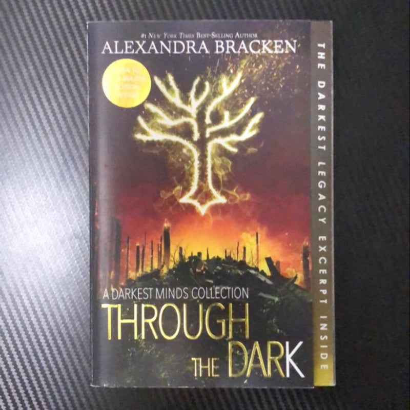 Through the Dark (Bonus Content) (a Darkest Minds Collection)