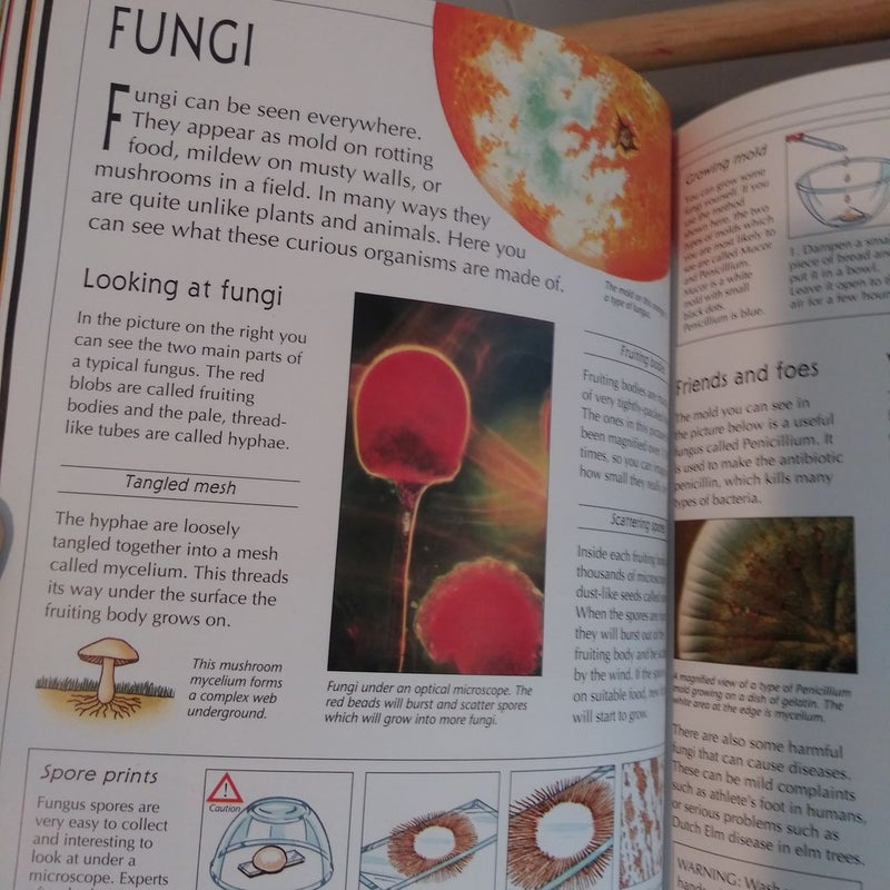 ThebUsborne Complete Book of the Microscope