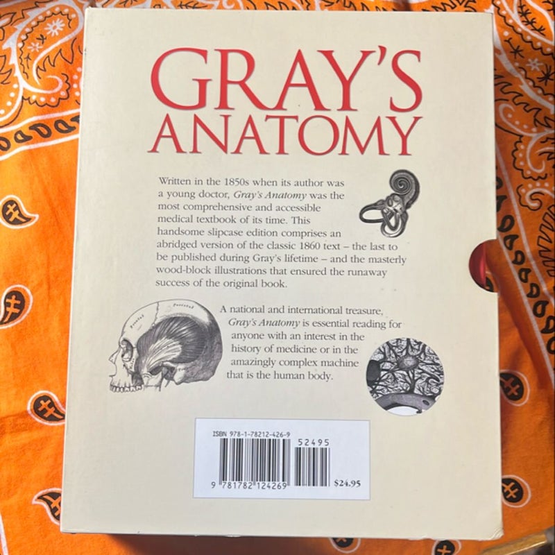 Gray's Anatomy