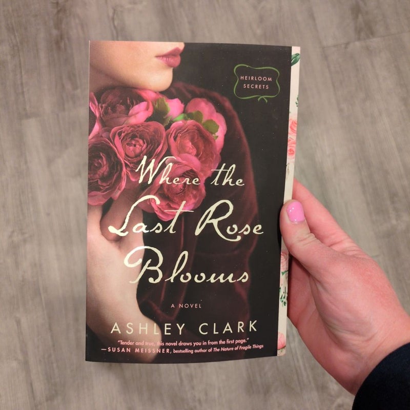 Where the Last Rose Blooms