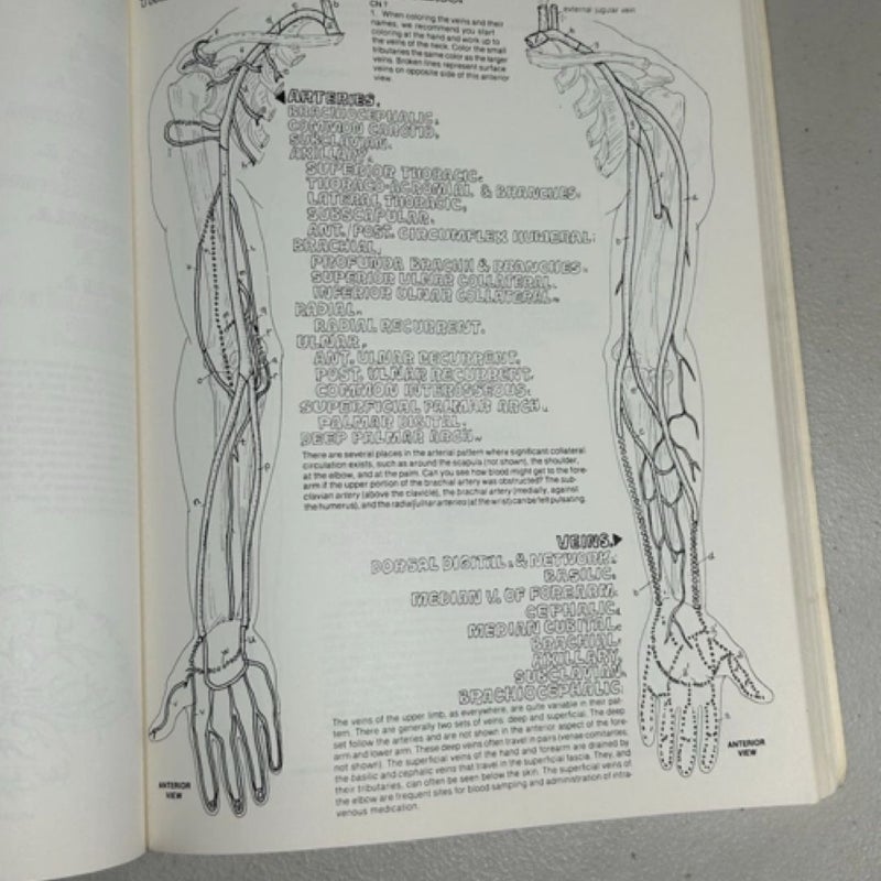 The Anatomy Coloring Book