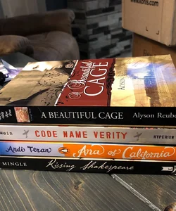 Bundle of young adult historical romance - LOT 11