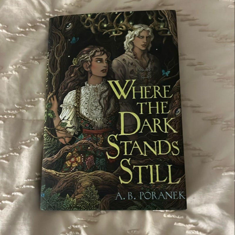 Where the Dark Stands Still