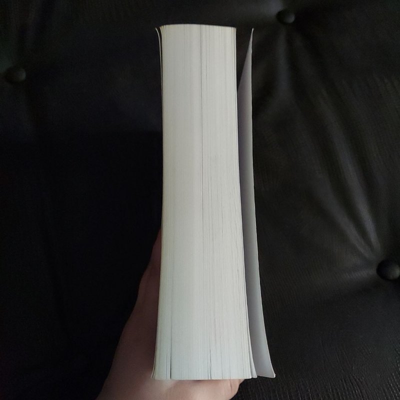 Runaway Dragon Mates: (a Paranormal Shifter Romance Series) READ DESCRIPTION 