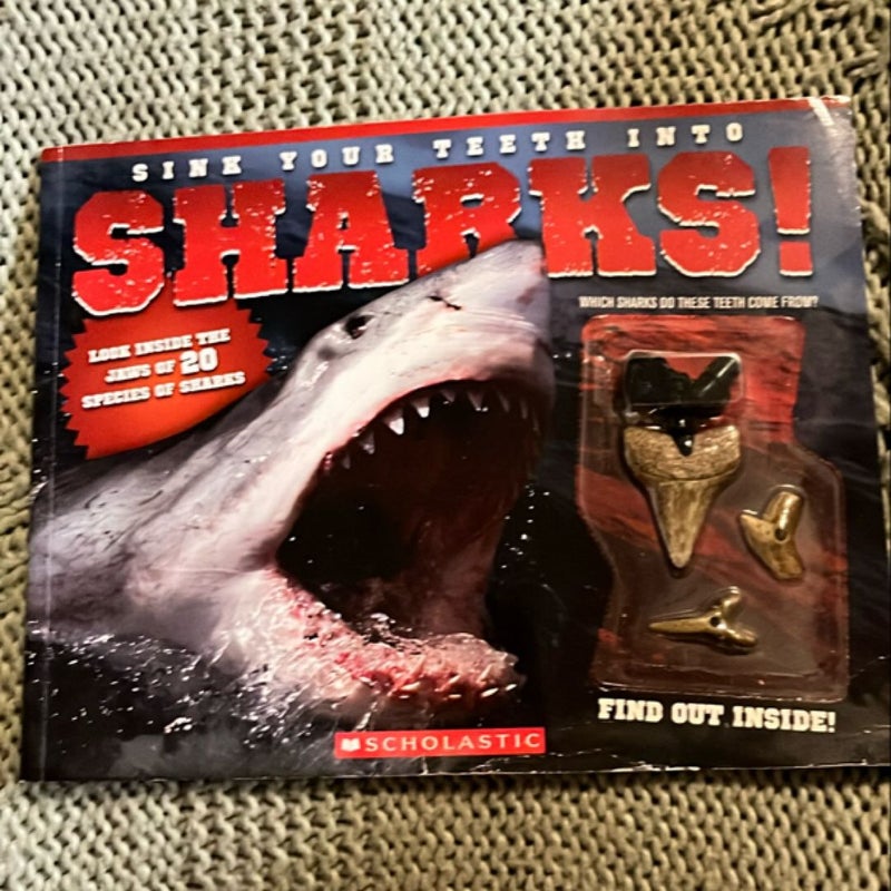 Sink Your Teeth Into... Sharks!