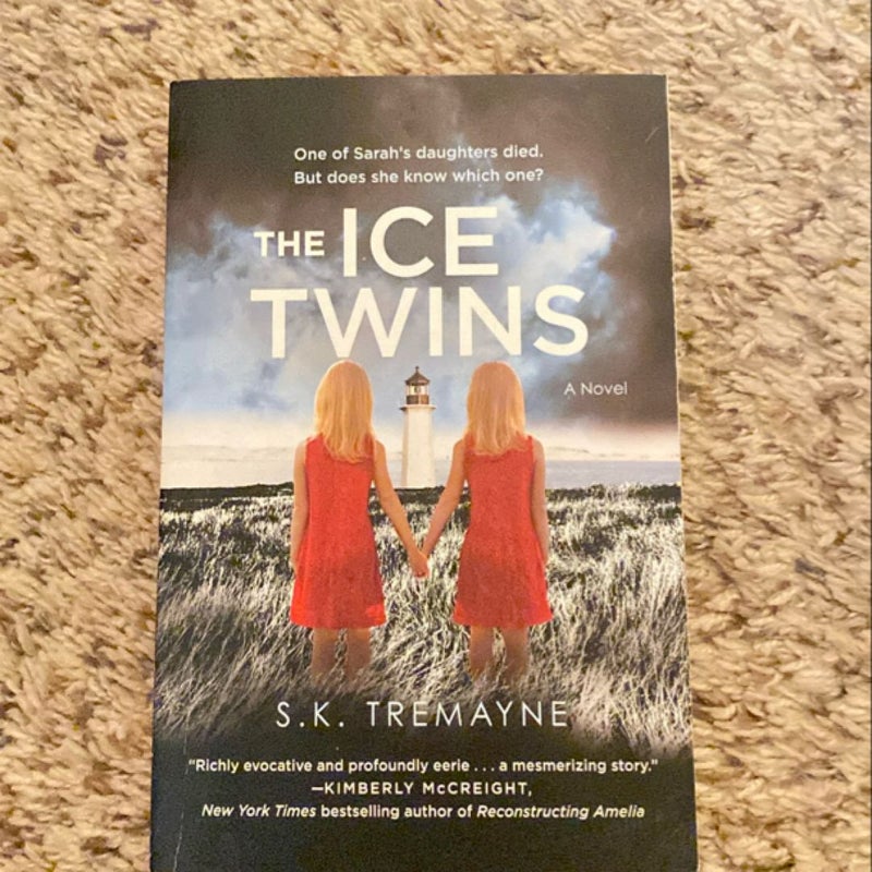 The Ice Twins