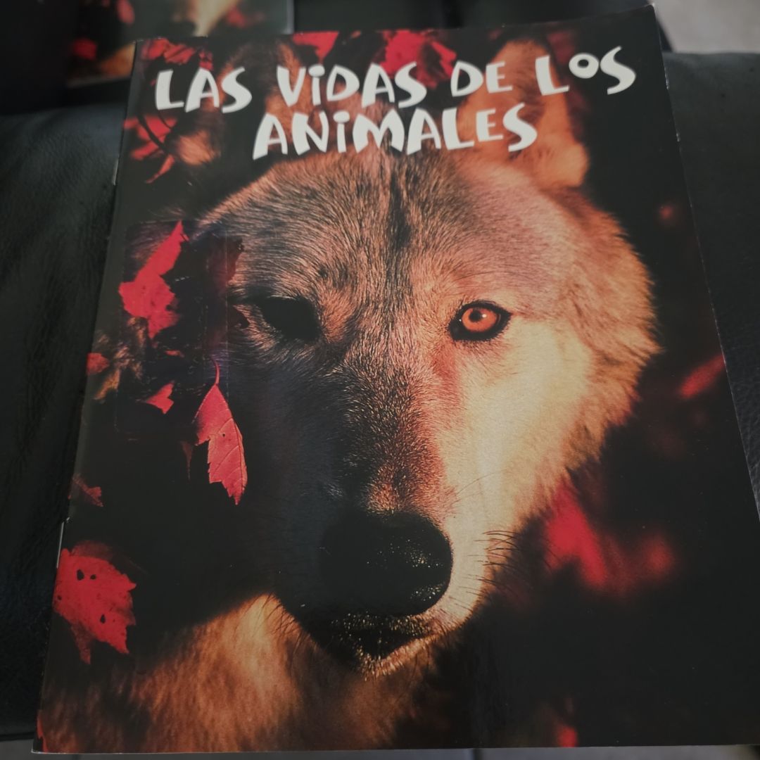 Las Vidas de Los Animales