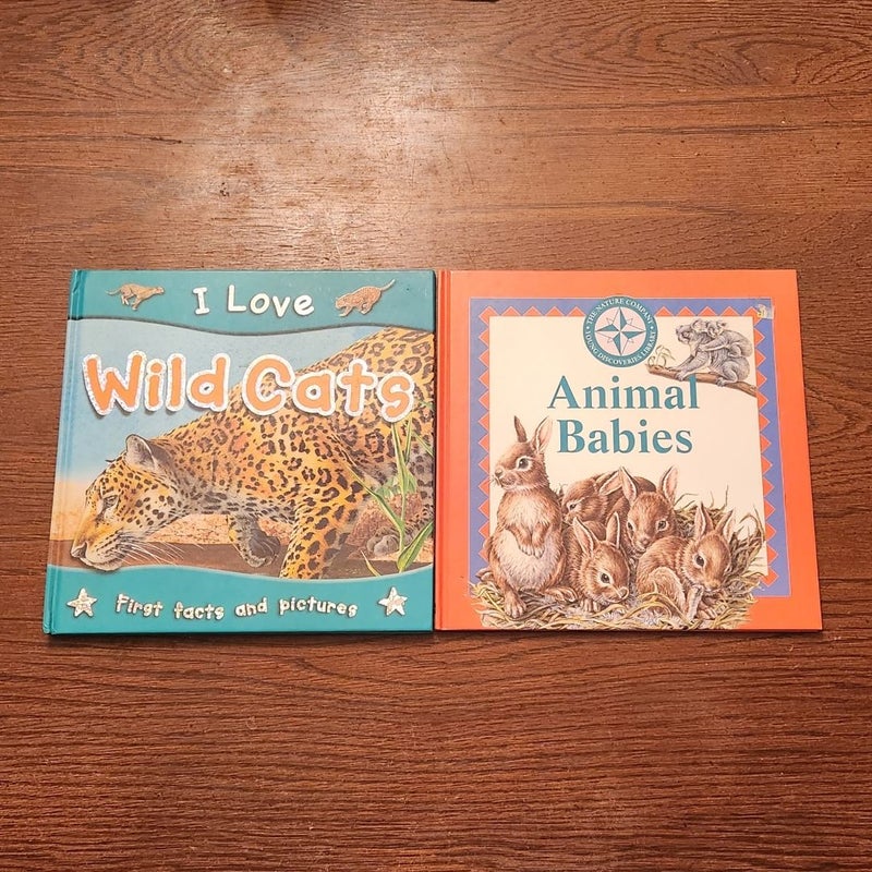 Booklot of 7 Animal Books (Non-fiction)