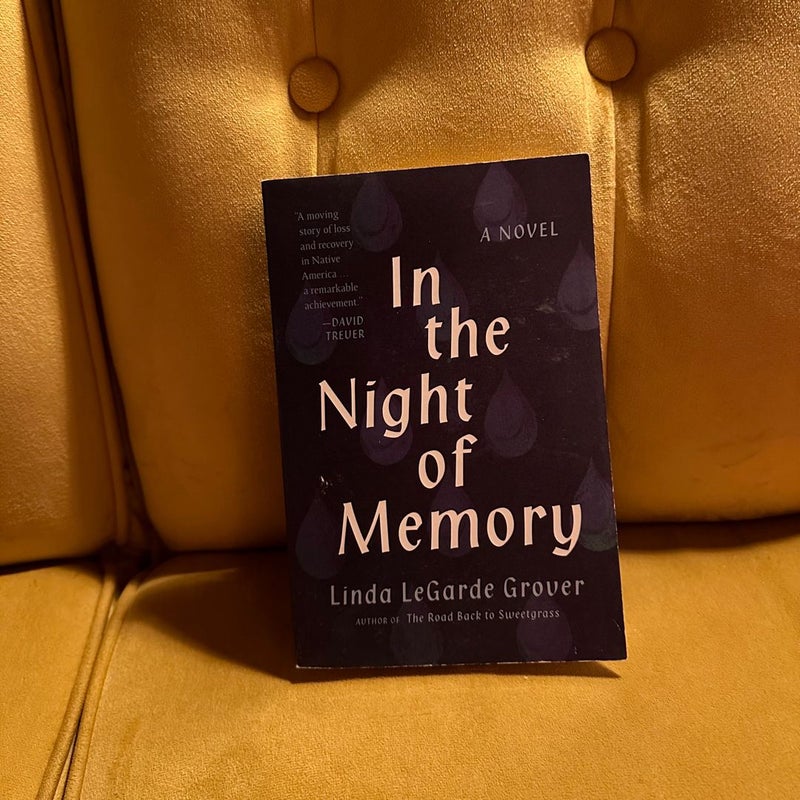 In the Night of Memory