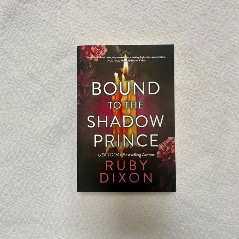 Bound to the Shadow Prince