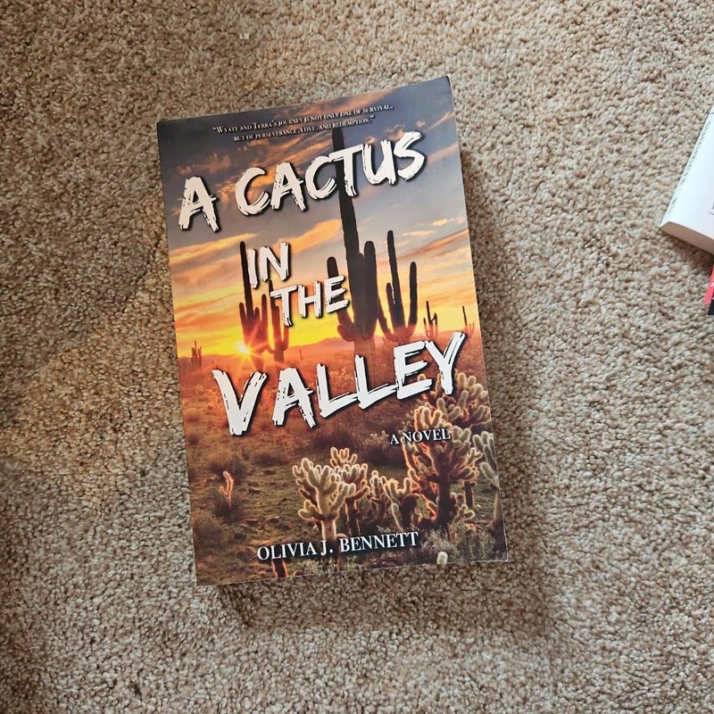 A Cactus in the Valley