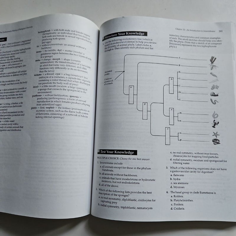 Study Guide for Campbell Biology