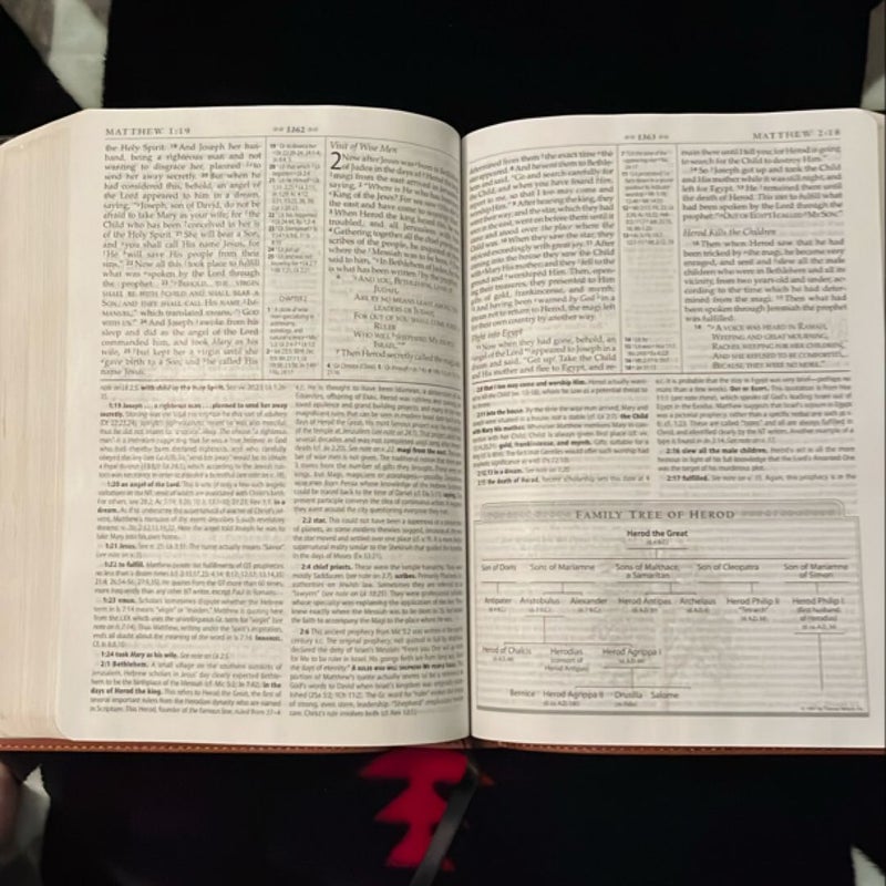 MacArthur Study Bible
