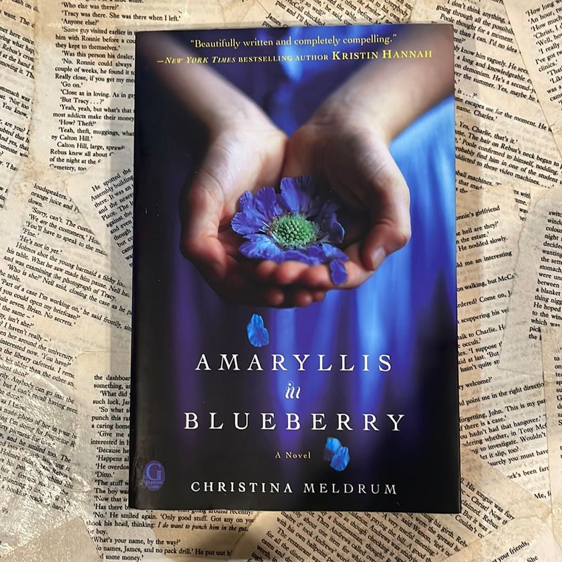 Amaryllis in Blueberry