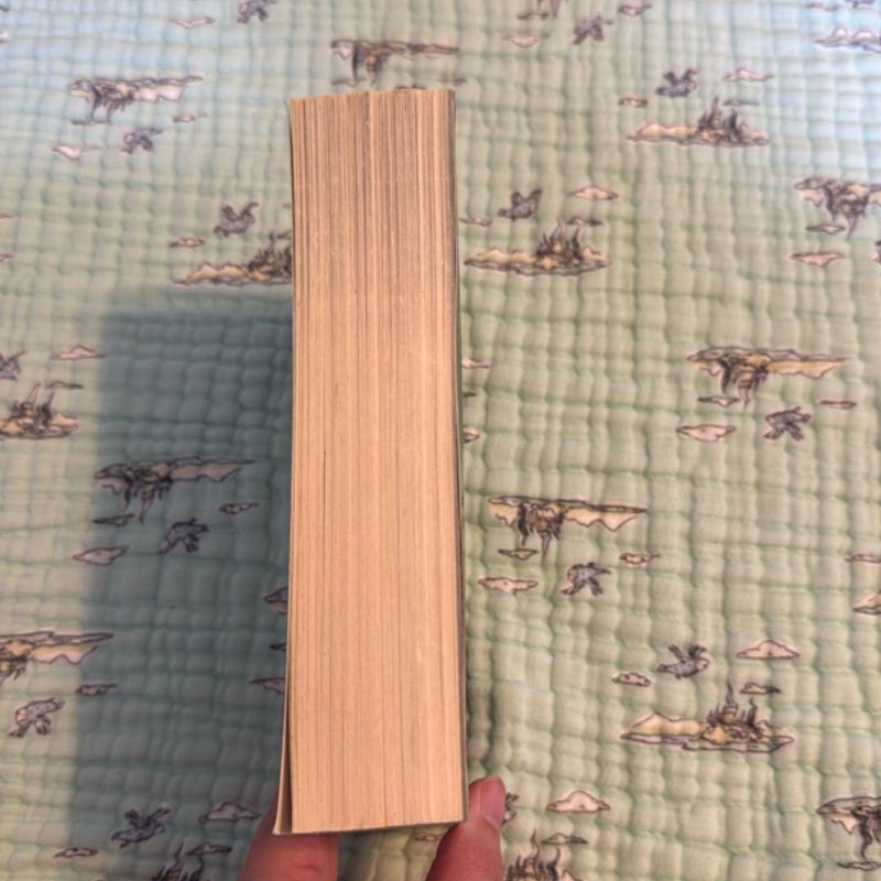 Heir of Fire OOP cover