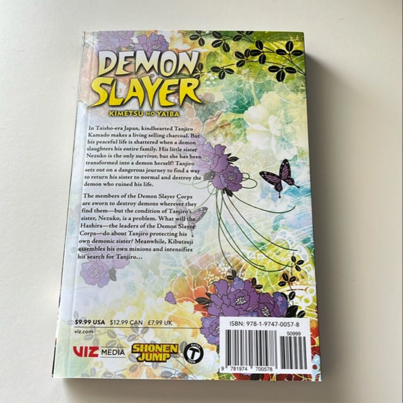 Demon Slayer: Kimetsu No Yaiba, Vol. 6