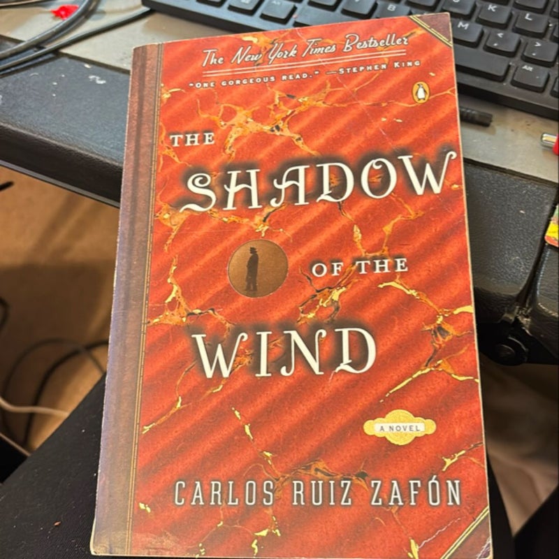 The Shadow of the Wind