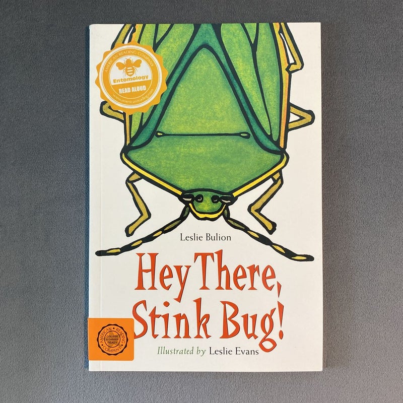 Hey There, Stink Bug!