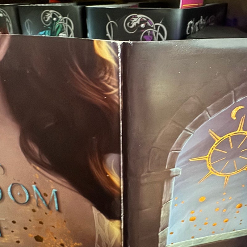 A Kingdom of Stars and Shadows Bookish Box SE *Wounded*