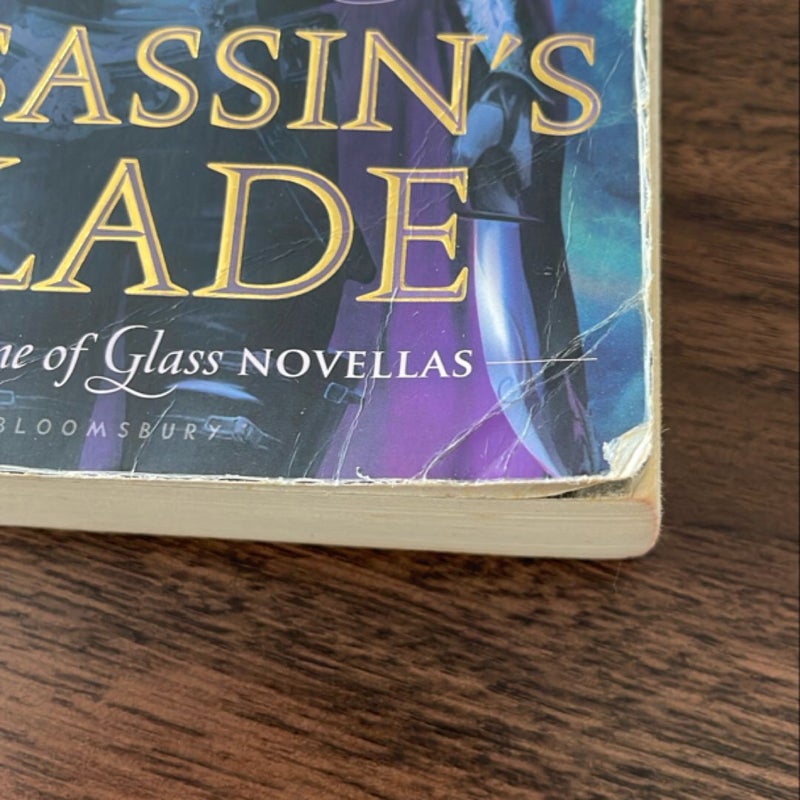 The Assassin's Blade OOP 