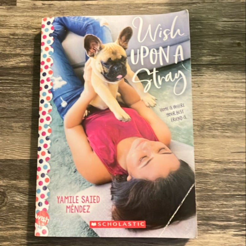 Wish upon a Stray: a Wish Novel