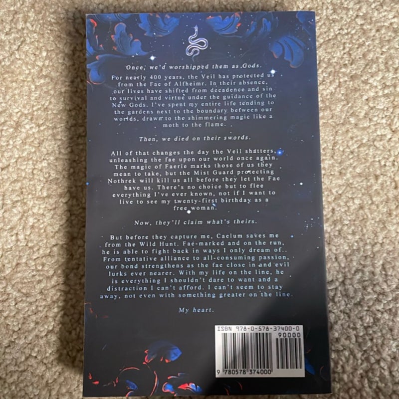 What Lies Beyond the Veil
