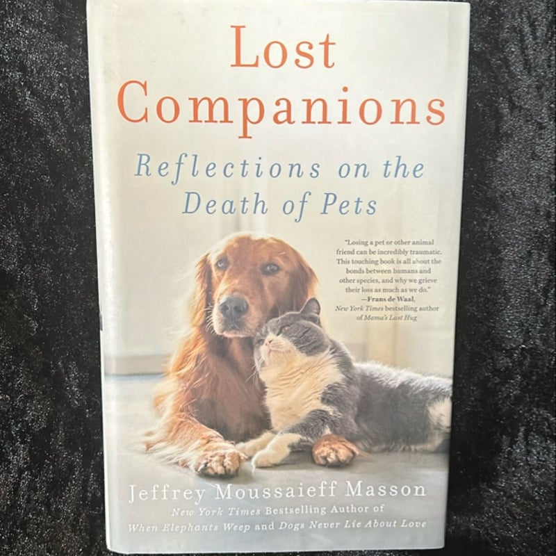 Lost Companions