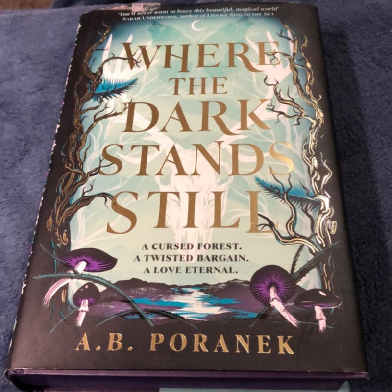 Where The Darkness Stands Still Waterstones Sprayed Edges 