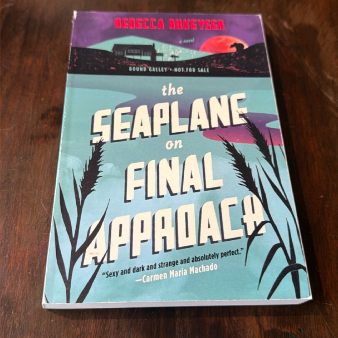 ARC The Seaplane on Final Approach