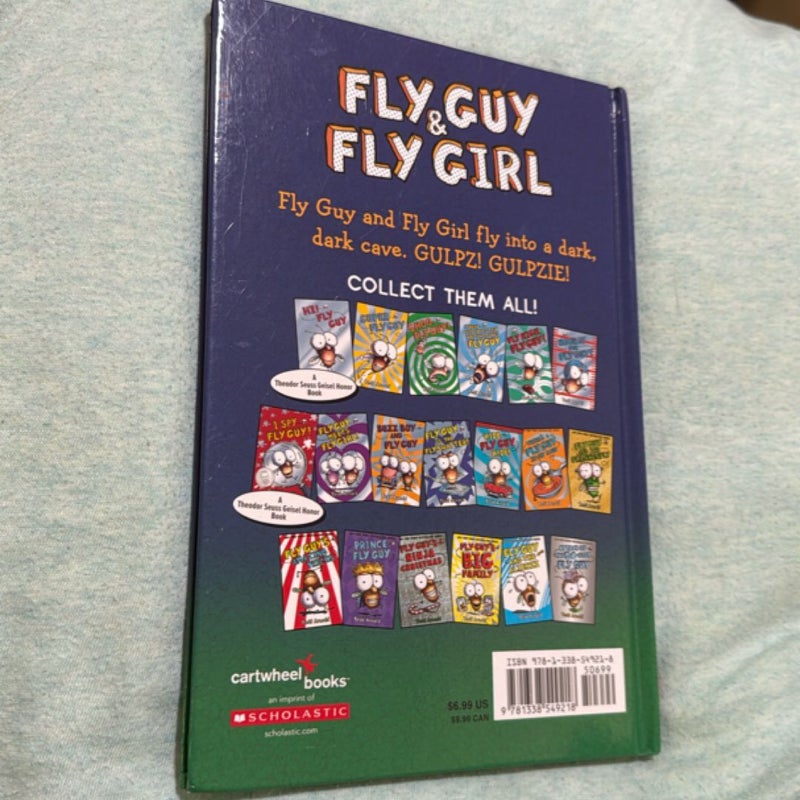 Fly Guy and Fly Girl: Night Fright
