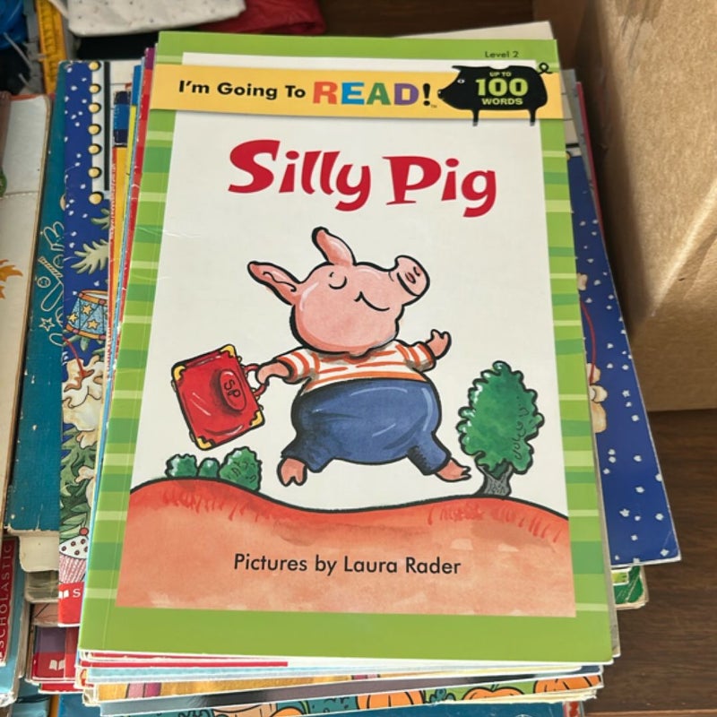 Silly Pig