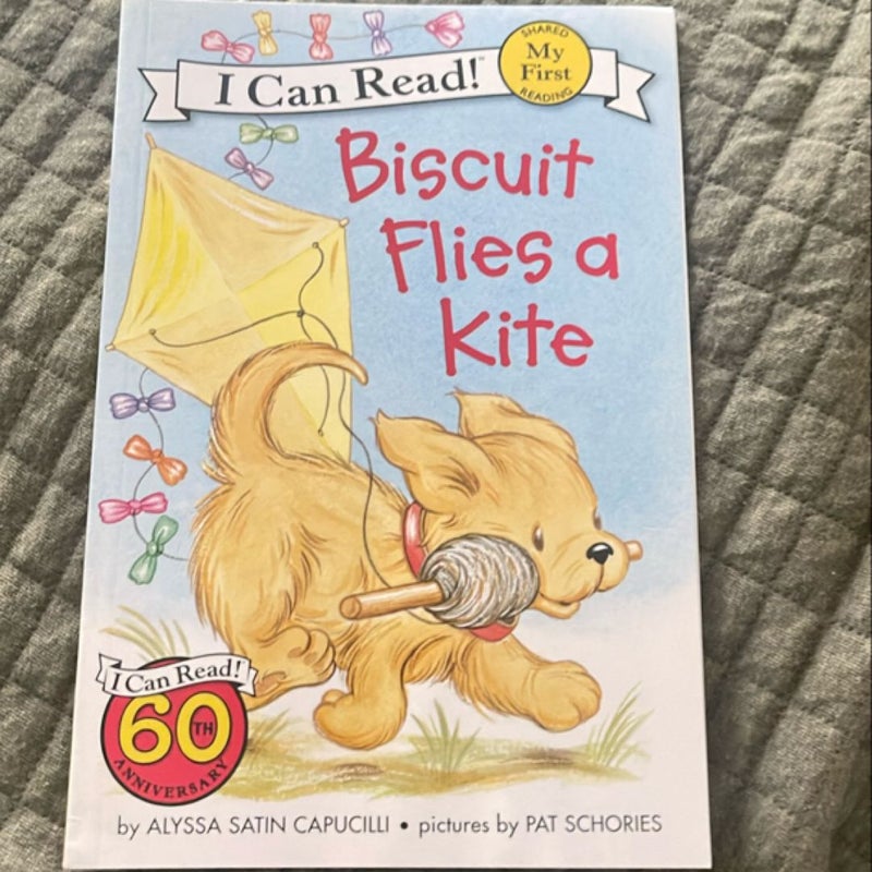 Biscuit Flies a Kite