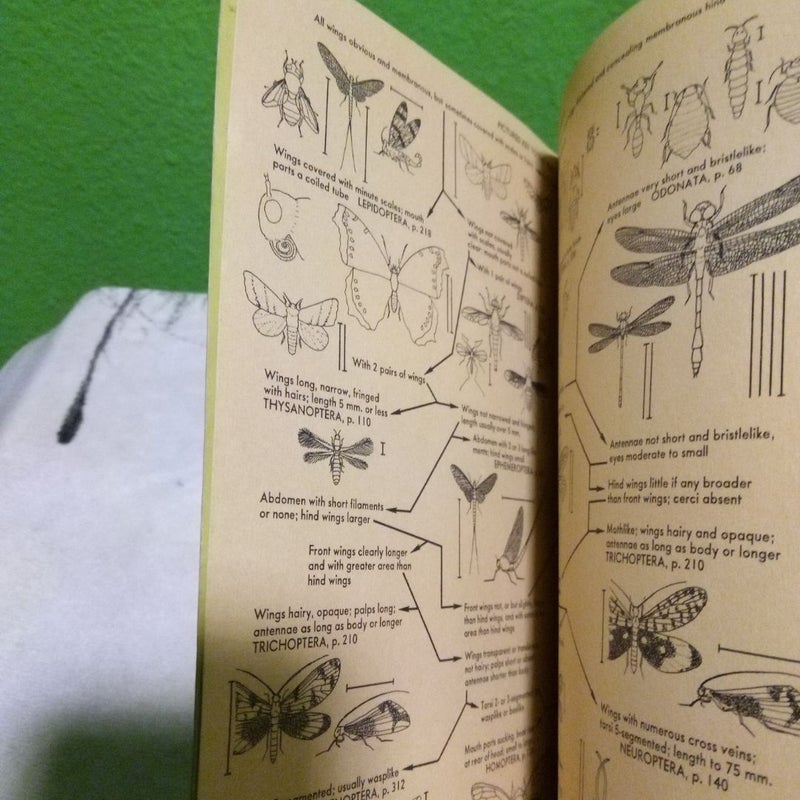 Vintage 1970 - A Field Guide to the Insects of America North of Mexico