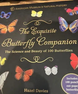 The Exquisite Butterfly Companion