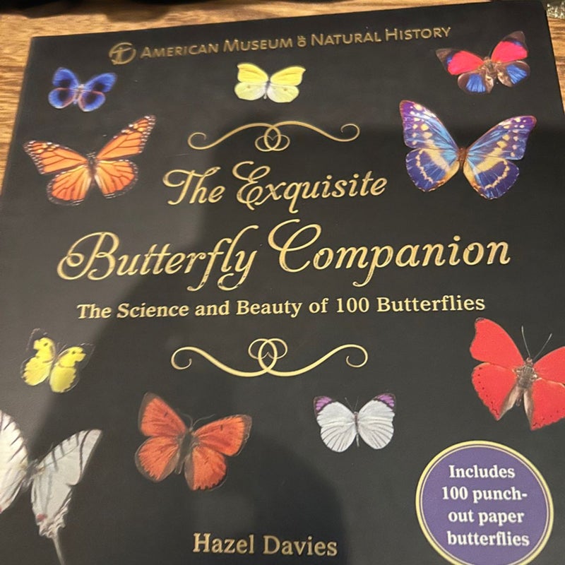 The Exquisite Butterfly Companion